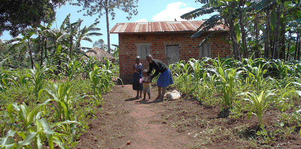 Fighting poverty through improved post-harvest management
